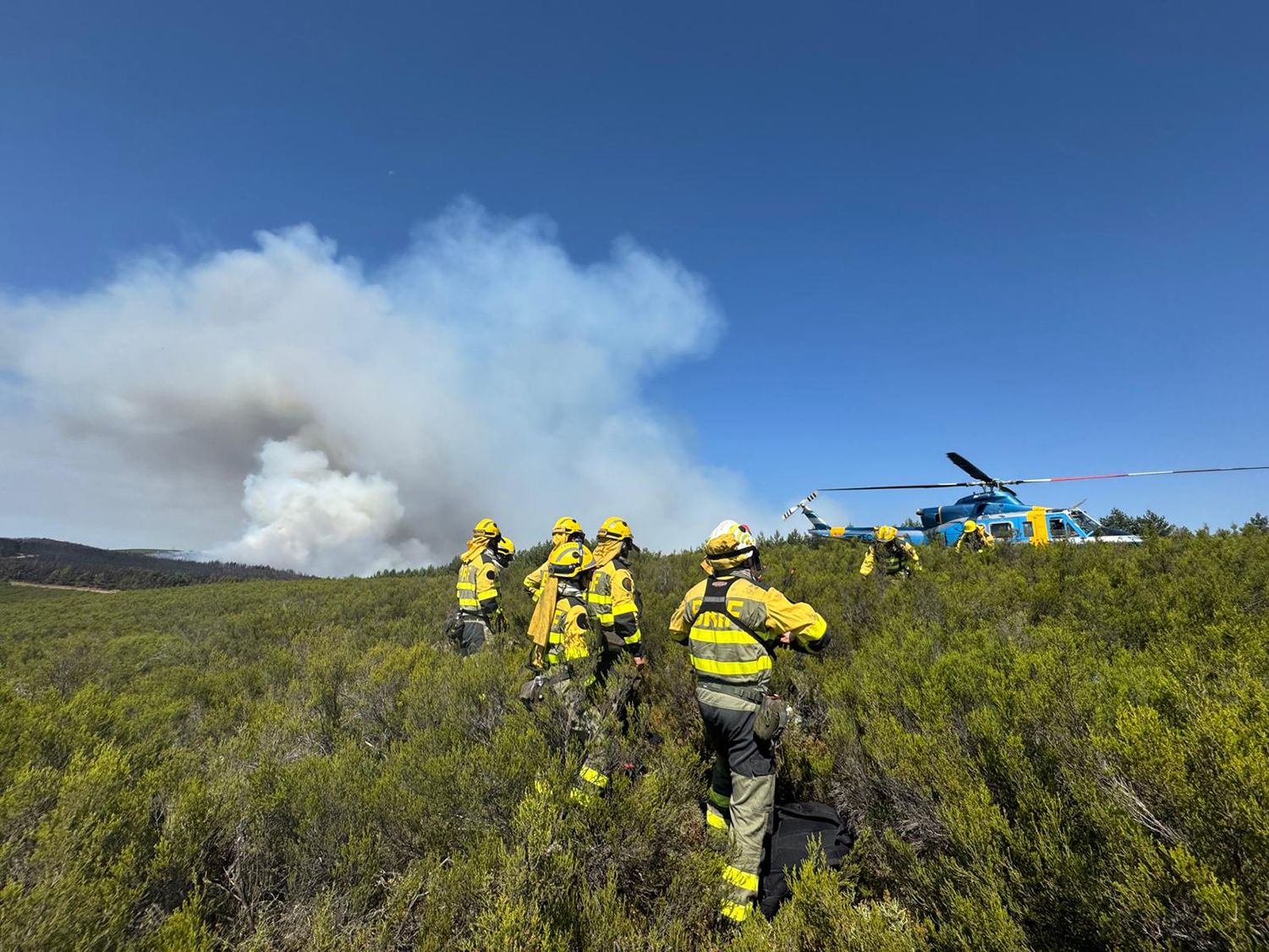 Bomberos forestales en el incendio de Espina del Tremor Bomberos forestales en el incendio de Espina del Tremor