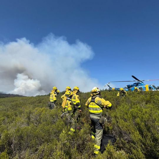 Bomberos forestales en el incendio de Espina del Tremor | Foto: Archivo