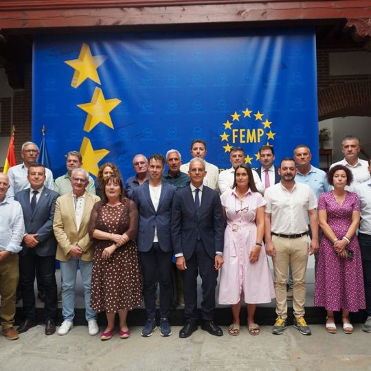 Federación Española de Municipios y Provincias Federación Española de Municipios y Provincias