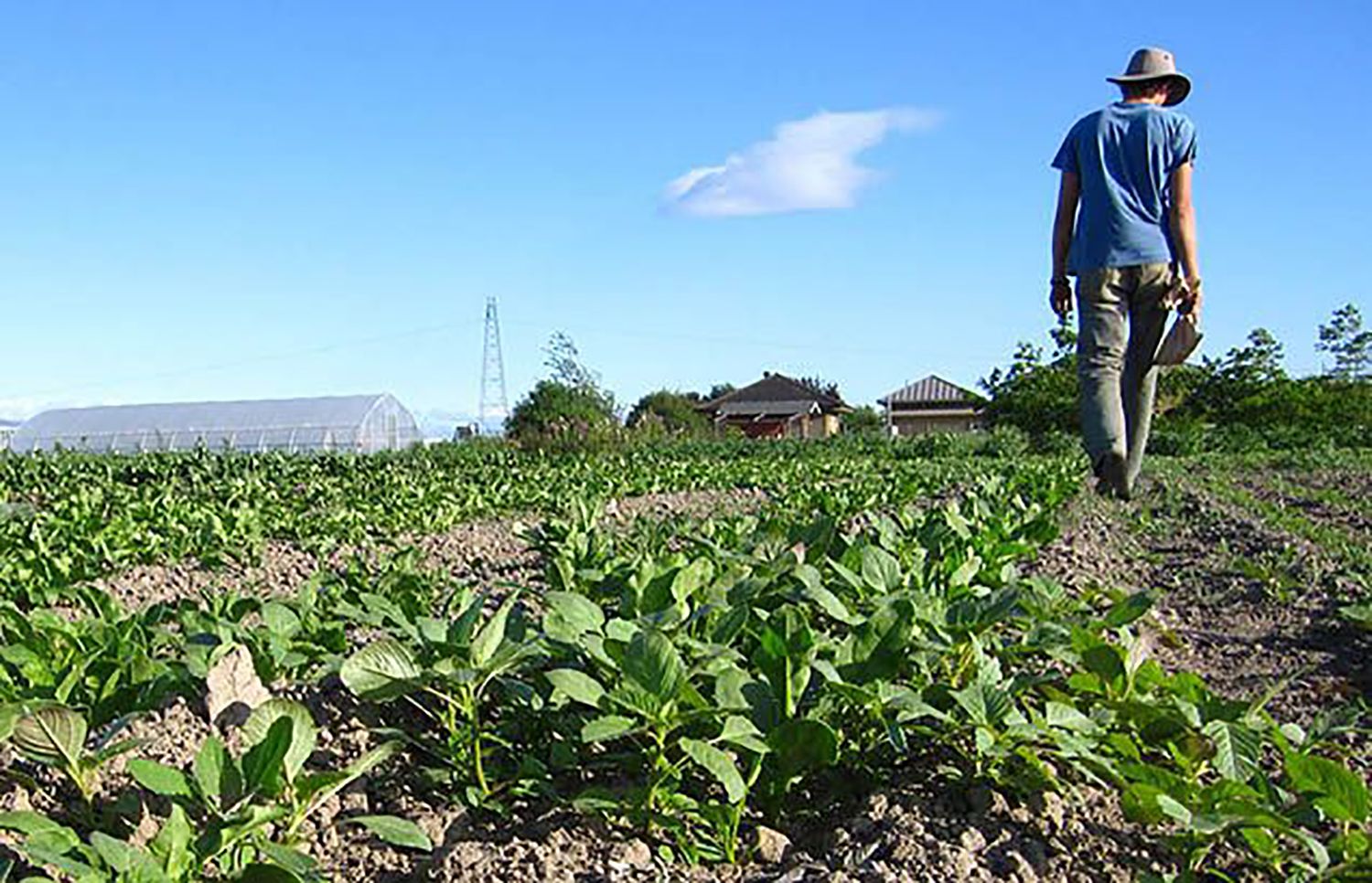 Jovenes agricultores