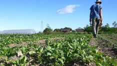 Jovenes agricultores