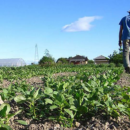 Jovenes agricultores Jovenes agricultores
