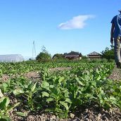 Jovenes agricultores Jovenes agricultores