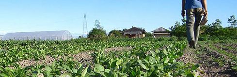 Jovenes agricultores Jovenes agricultores