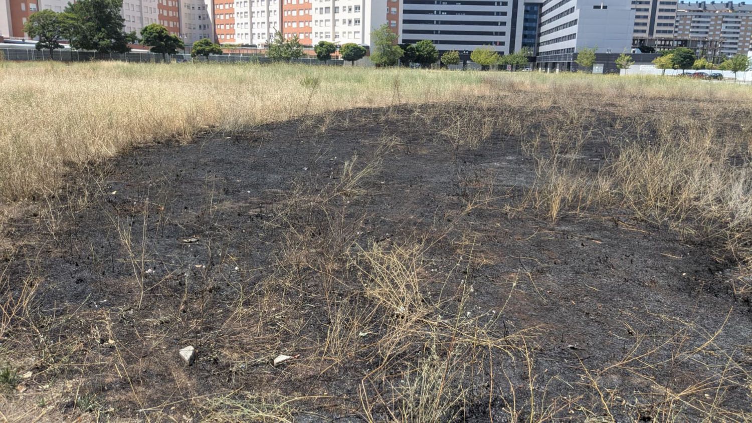 Zona quemada en el solar de La Rosaleda (1)