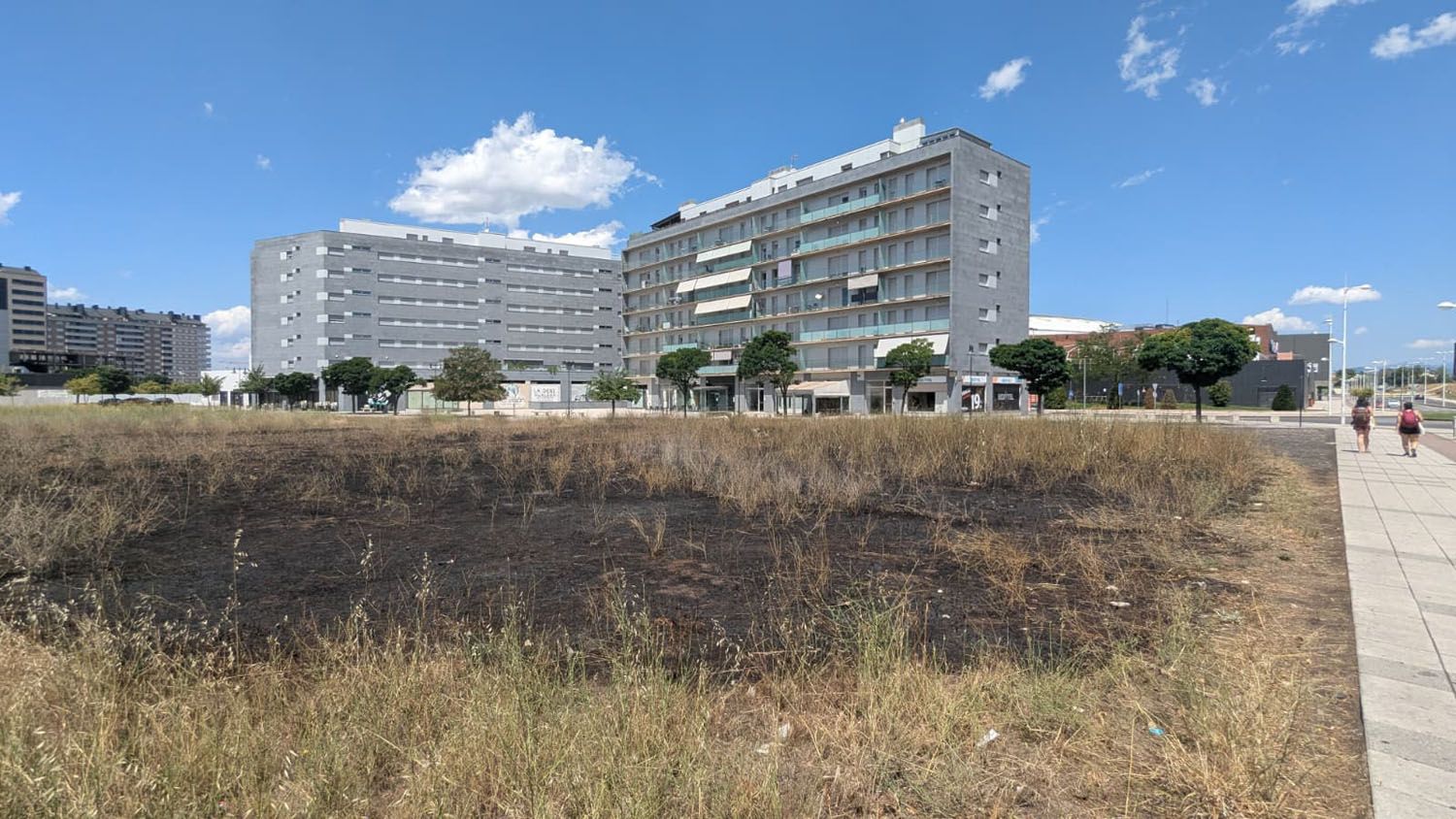 Zona quemada en el solar de La Rosaleda (2)