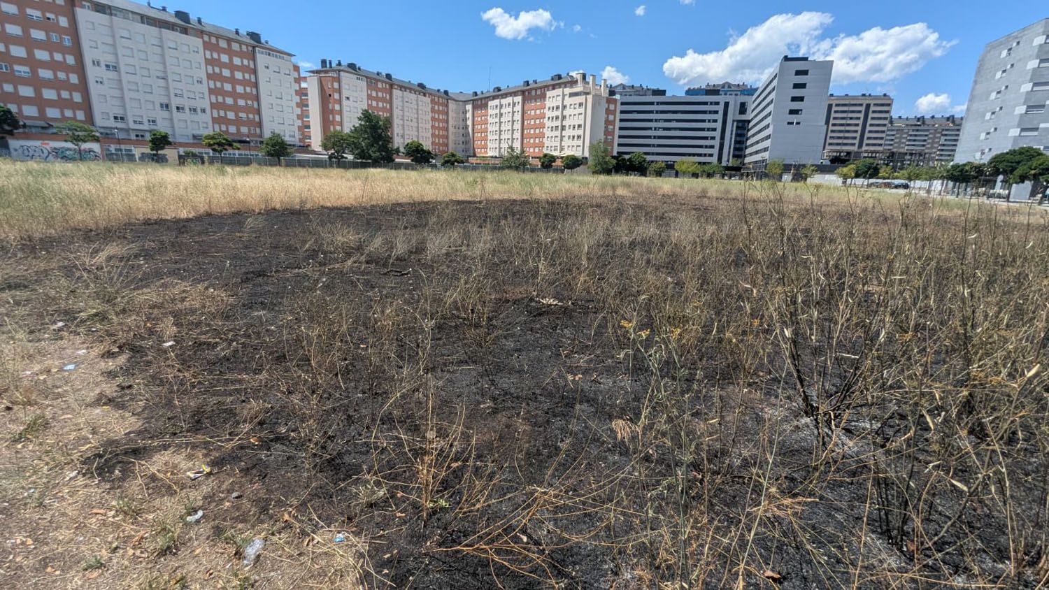 Zona quemada en el solar de La Rosaleda (3)
