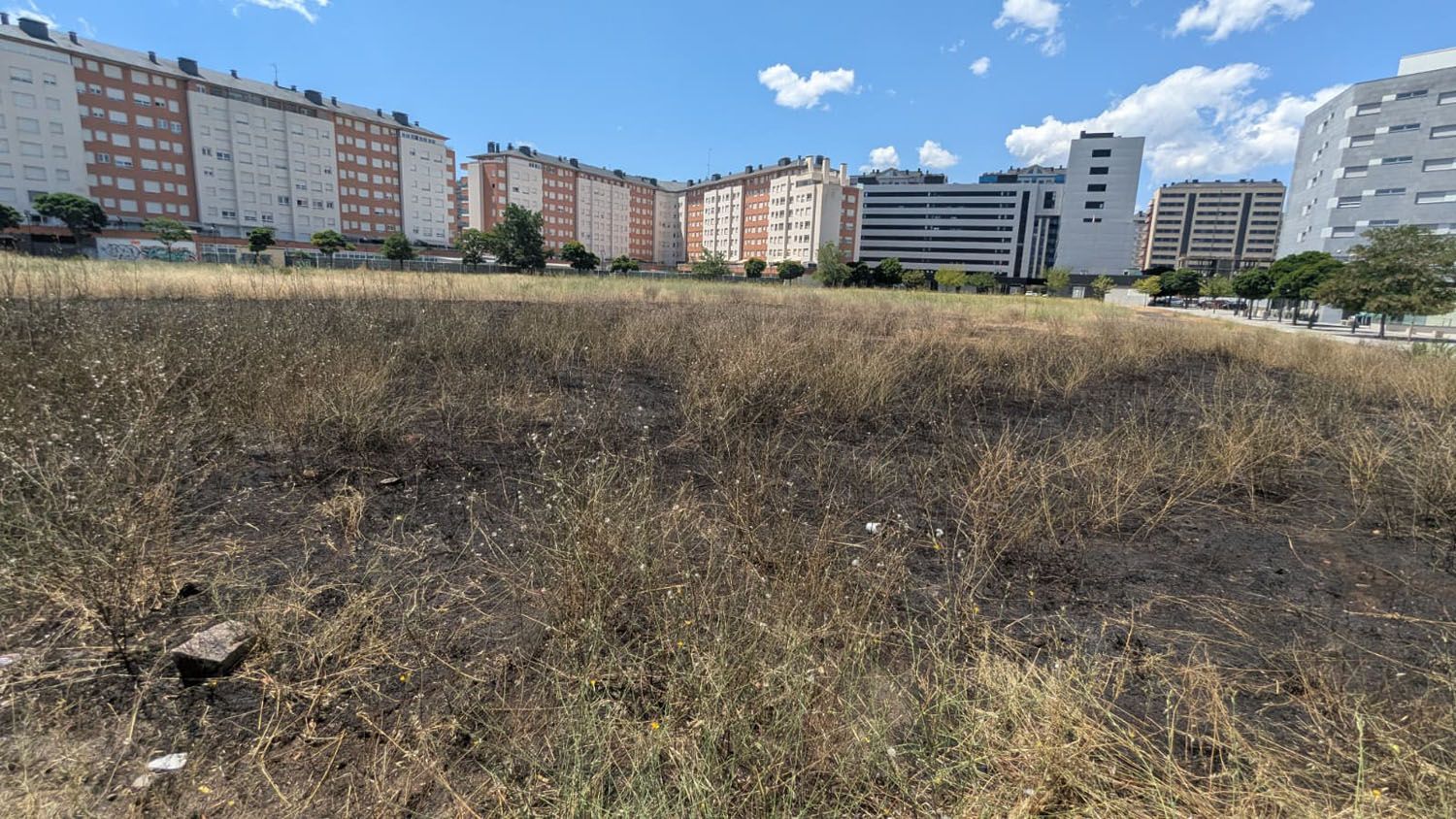 Zona quemada en el solar de La Rosaleda | Foto: InfoBierzo