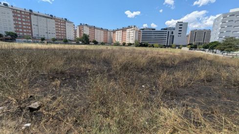 Zona quemada en el solar de La Rosaleda | Foto: InfoBierzo