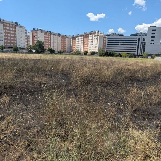 Zona quemada en el solar de La Rosaleda | Foto: InfoBierzo
