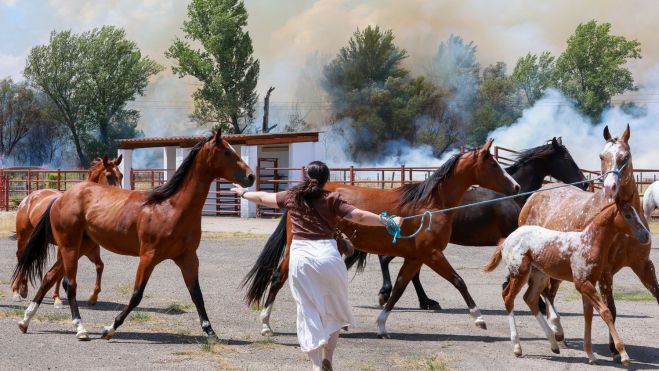 Carlos S. Campillo / ICAL . Incendio de nivel dos en Navatejera (León) 
