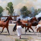 Carlos S. Campillo / ICAL . Incendio de nivel dos en Navatejera (León) 