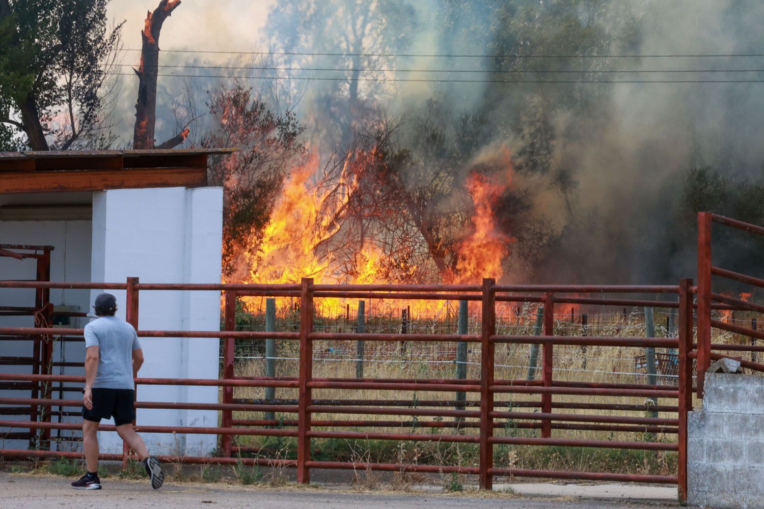 Carlos S. Campillo / ICAL . Incendio de nivel dos en Navatejera (León) (9)