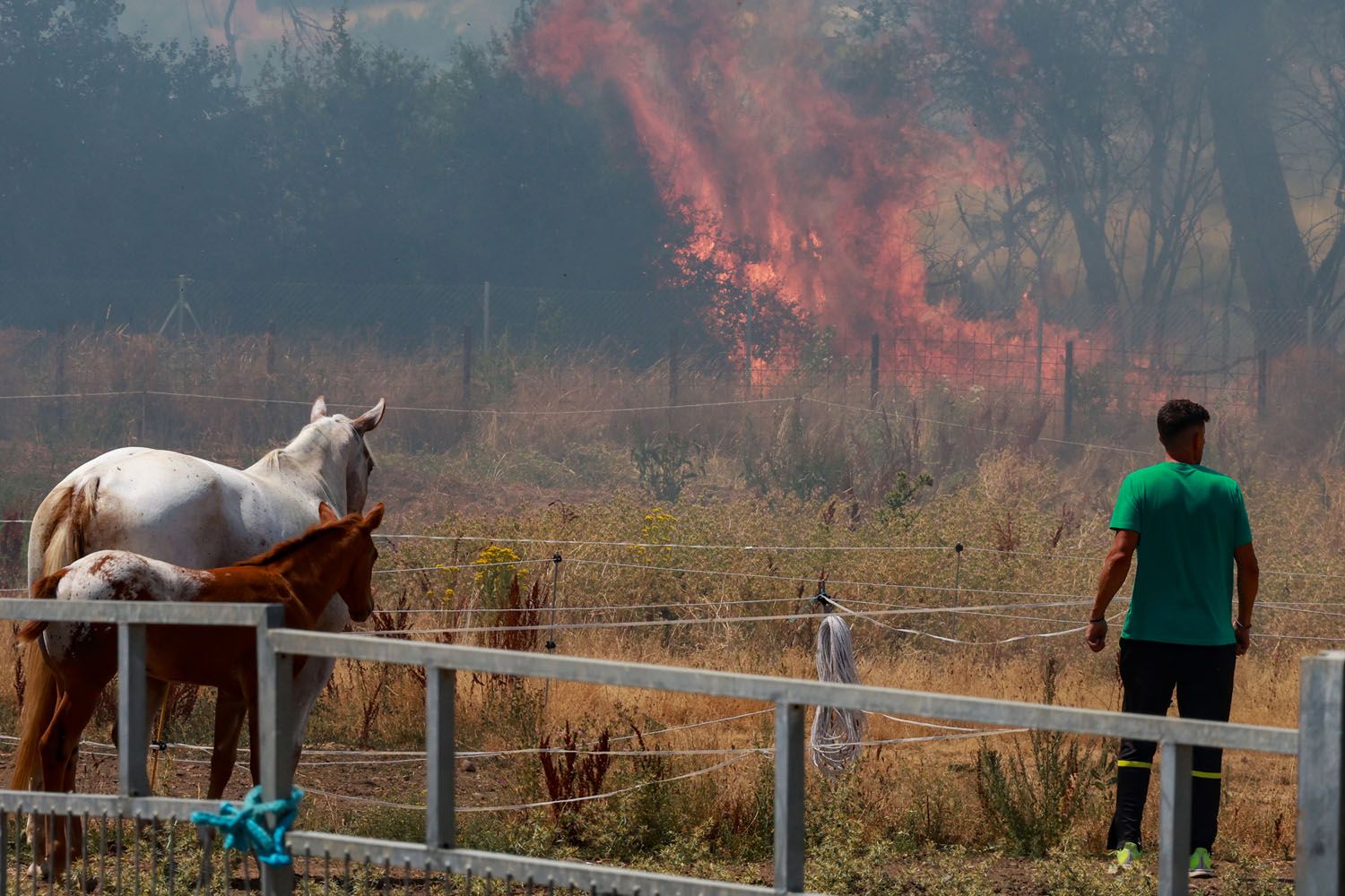 Carlos S. Campillo / ICAL . Incendio de nivel dos en Navatejera (León) 