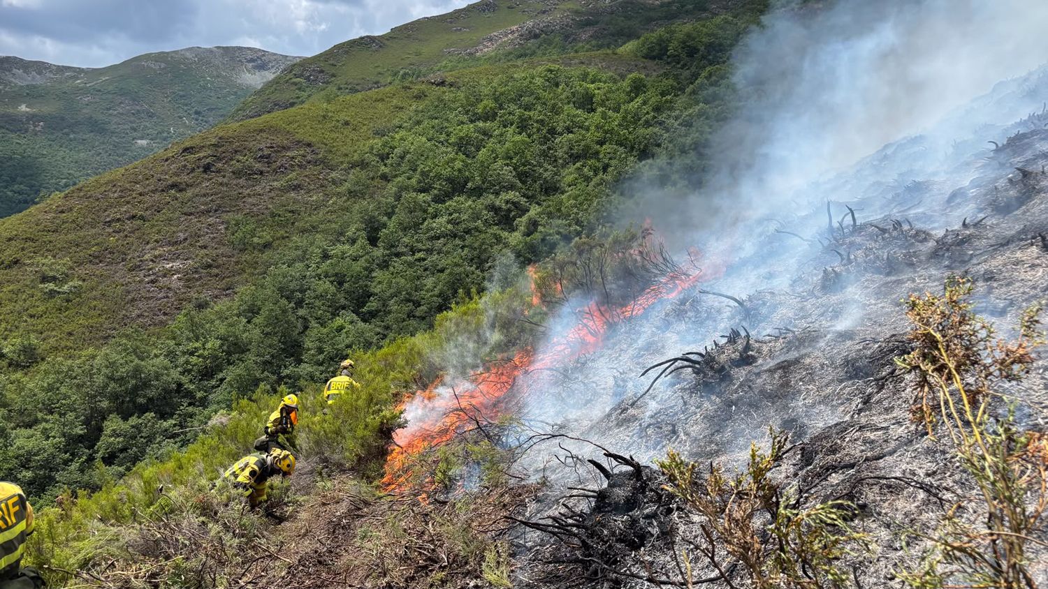 Incendio forestal en Guímara | Foto: AtBrif Incendio forestal en Guímara | Foto: AtBrif