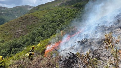 Incendio forestal en Guímara | Foto: AtBrif