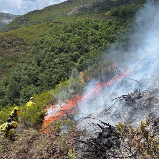 Incendio forestal en Guímara | Foto: AtBrif