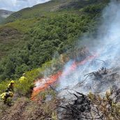 Incendio forestal en Guímara | Foto: AtBrif