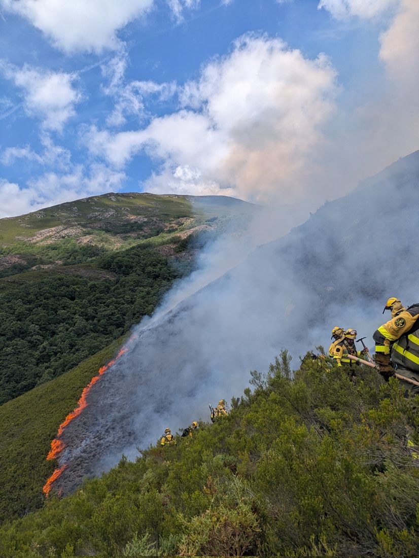 Incendio forestal en Guímara (3) Incendio forestal en Guímara (3)