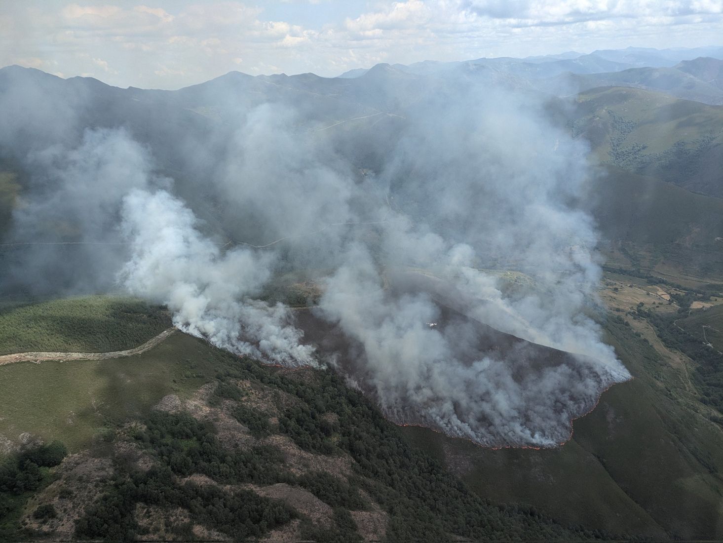 Incendio forestal en Guímara (5) Incendio forestal en Guímara (5)