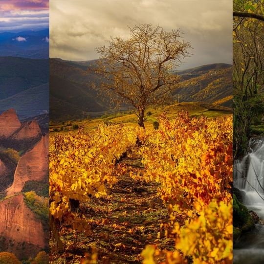 Premios de fotografía del IEB