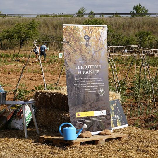 16 nuevos huertos de autoconsumo en Columbrianos gracias al proyecto Souto Vivo | César Sánchez (ICAL) 16 nuevos huertos de autoconsumo en Columbrianos gracias al proyecto Souto Vivo | César Sánchez (ICAL)