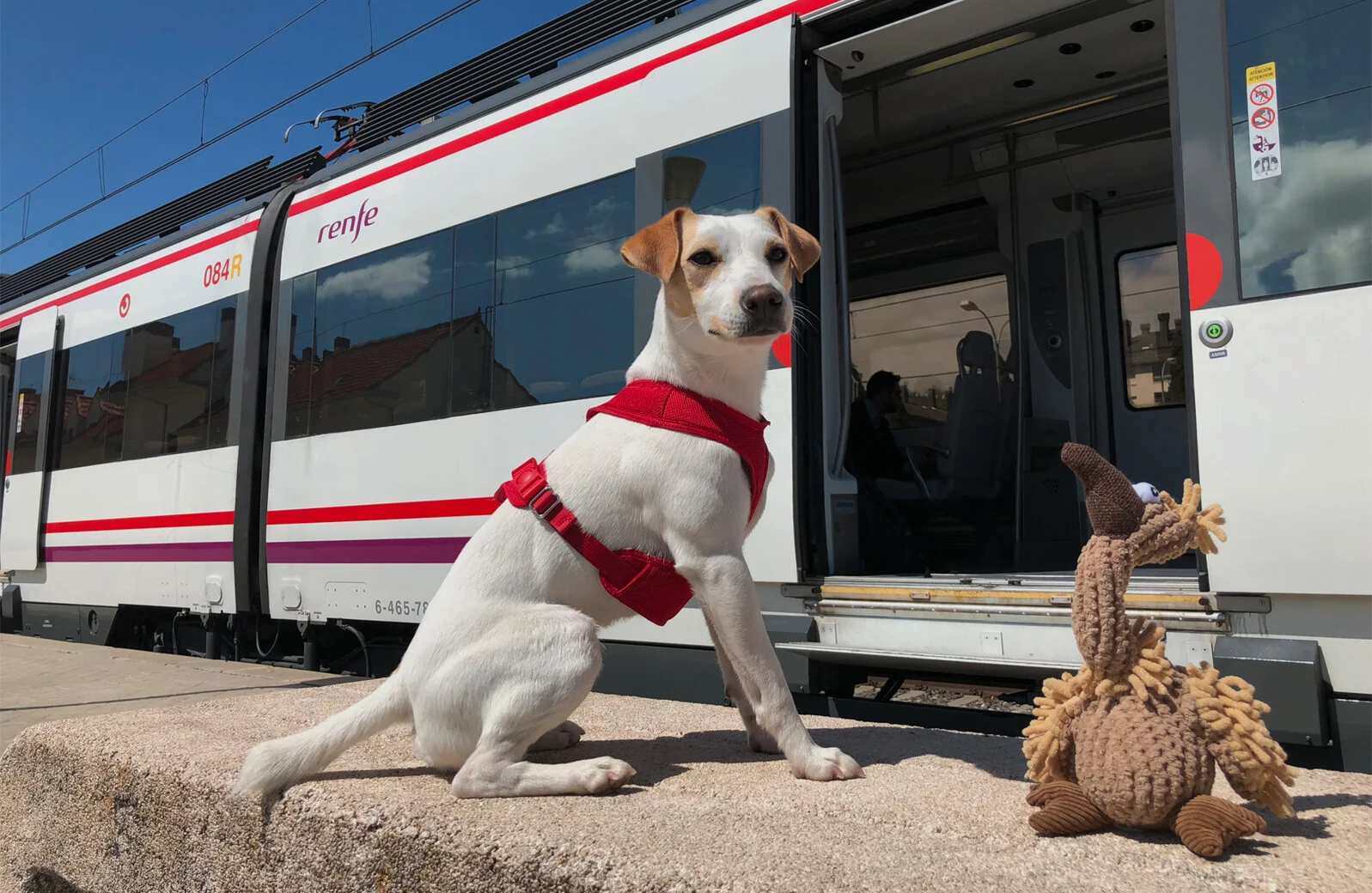 Los viajeros leoneses podrán viajar en los trenes de Renfe con perros de hasta 40 kilos | Pipper on Tour Los viajeros leoneses podrán viajar en los trenes de Renfe con perros de hasta 40 kilos | Pipper on Tour