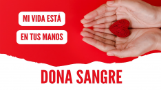 Colecta de donaciones de sangre en Fabero con sorteo de 5 camisetas de la selección Colecta de donaciones de sangre en Fabero con sorteo de 5 camisetas de la selección