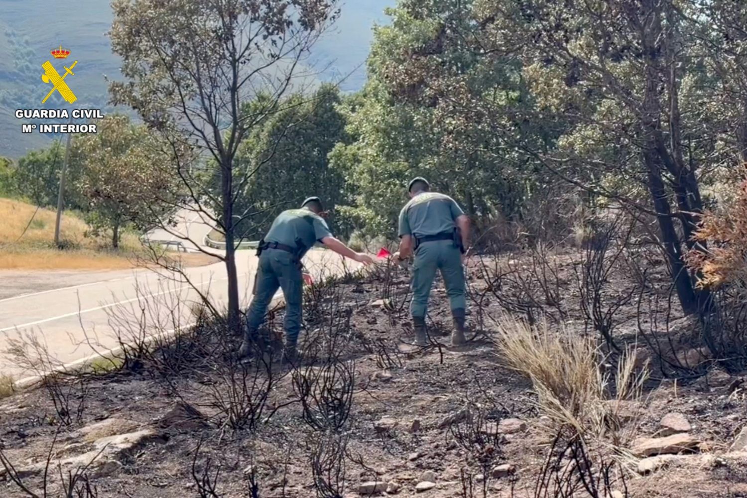 Investigación de la Guardia Civil en los incendios provocados en Zamora Investigación de la Guardia Civil en los incendios provocados en Zamora