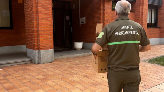 Recogida Benavides V Recogida Benavides V