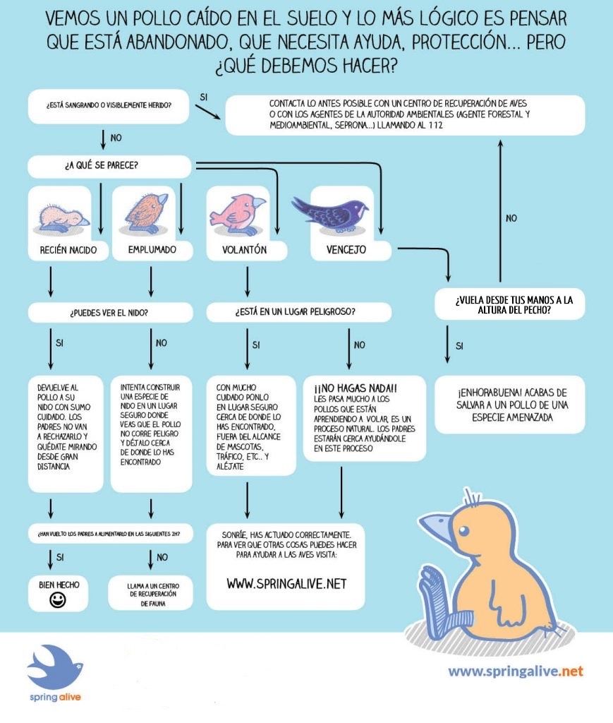 Recomendaciones para la recogida de animales silvestres Recomendaciones para la recogida de animales silvestres