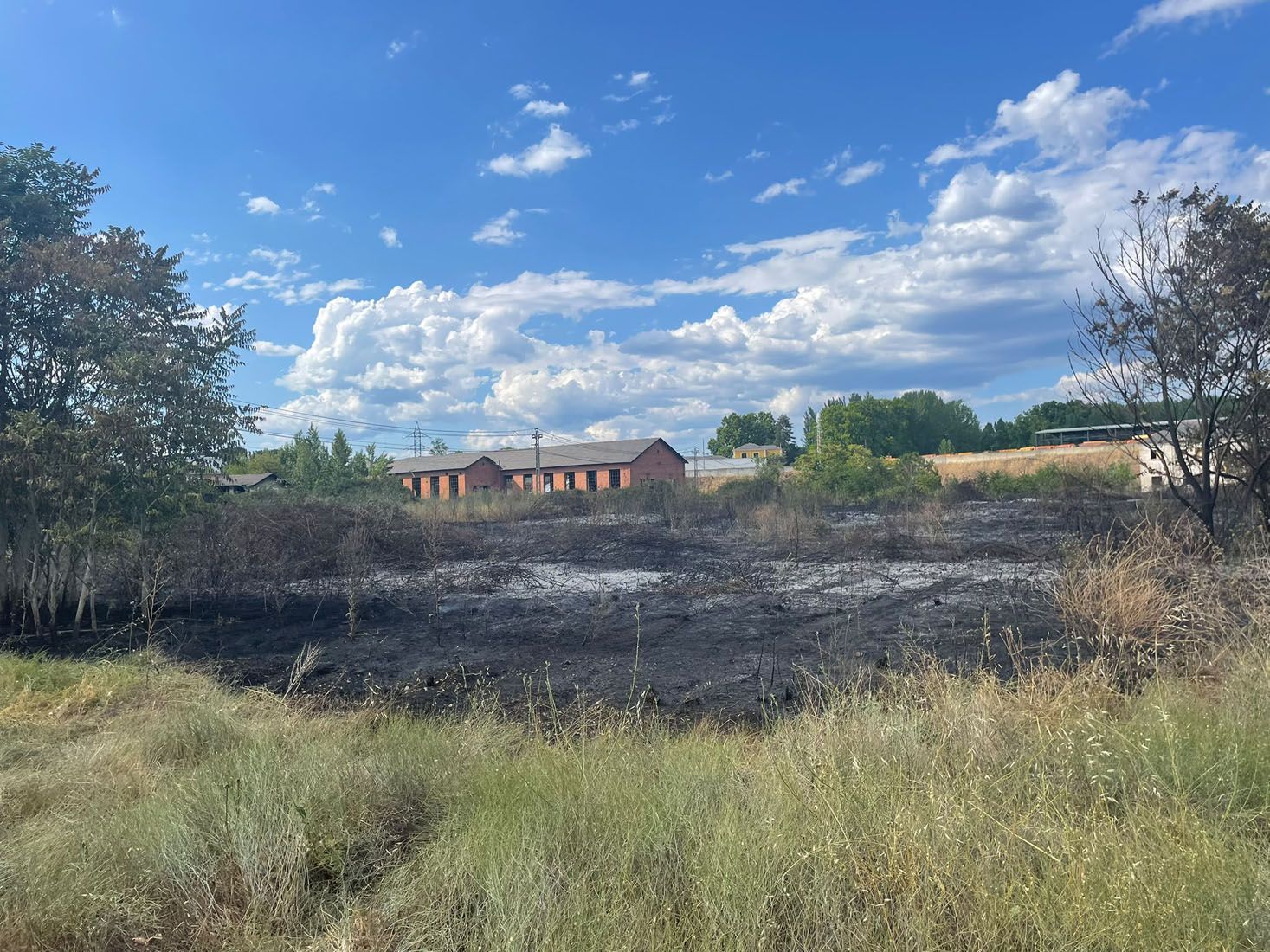 Incendio junto a las vías de La Placa | María Corral Incendio junto a las vías de La Placa | María Corral
