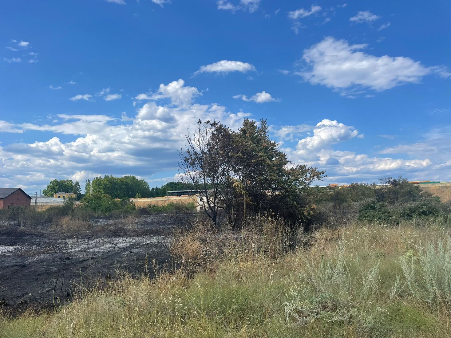 Incendio junto a las vías de La Placa | María Corral Incendio junto a las vías de La Placa | María Corral