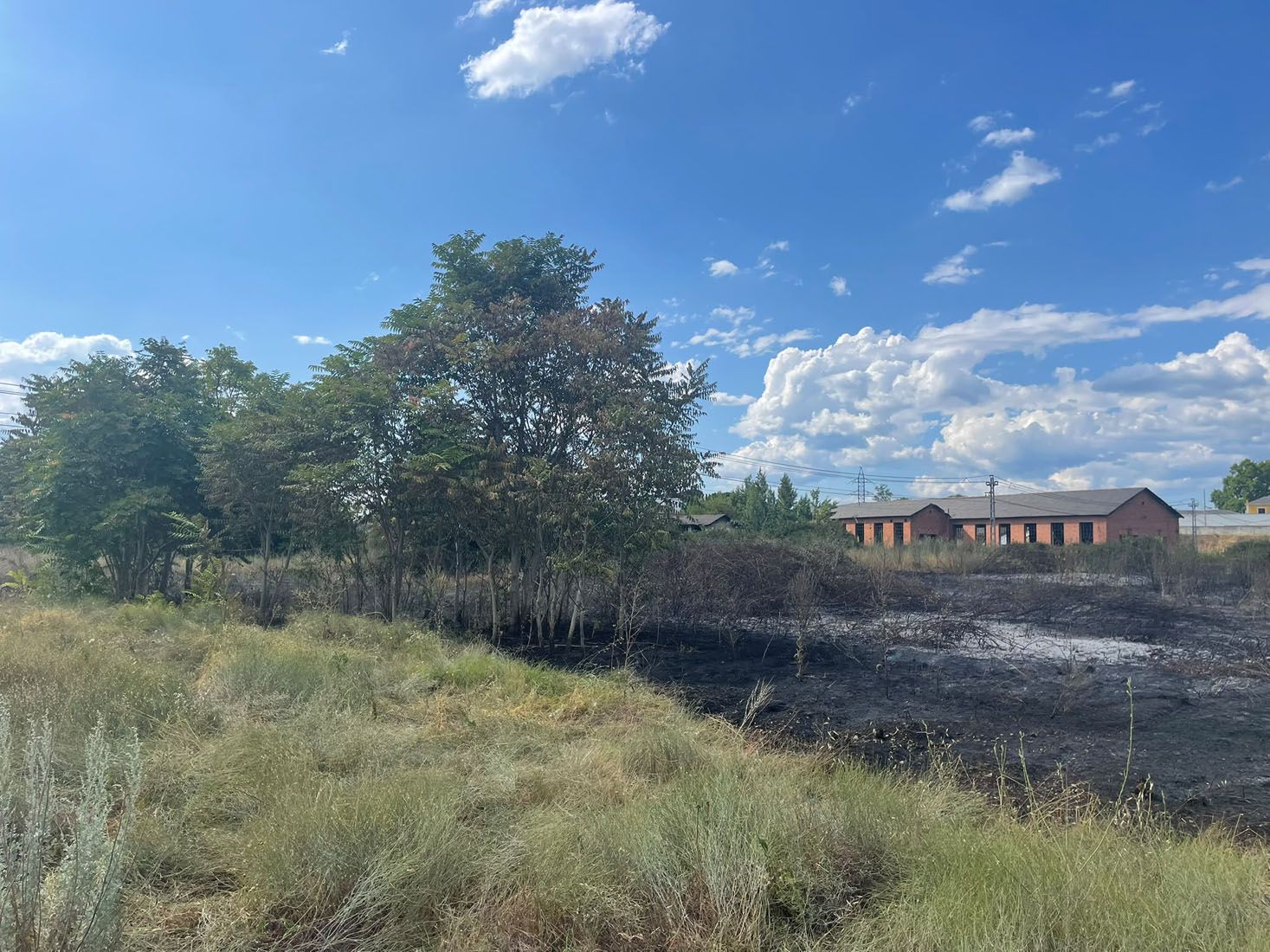 Incendio junto a las vías de La Placa | María Corral Incendio junto a las vías de La Placa | María Corral