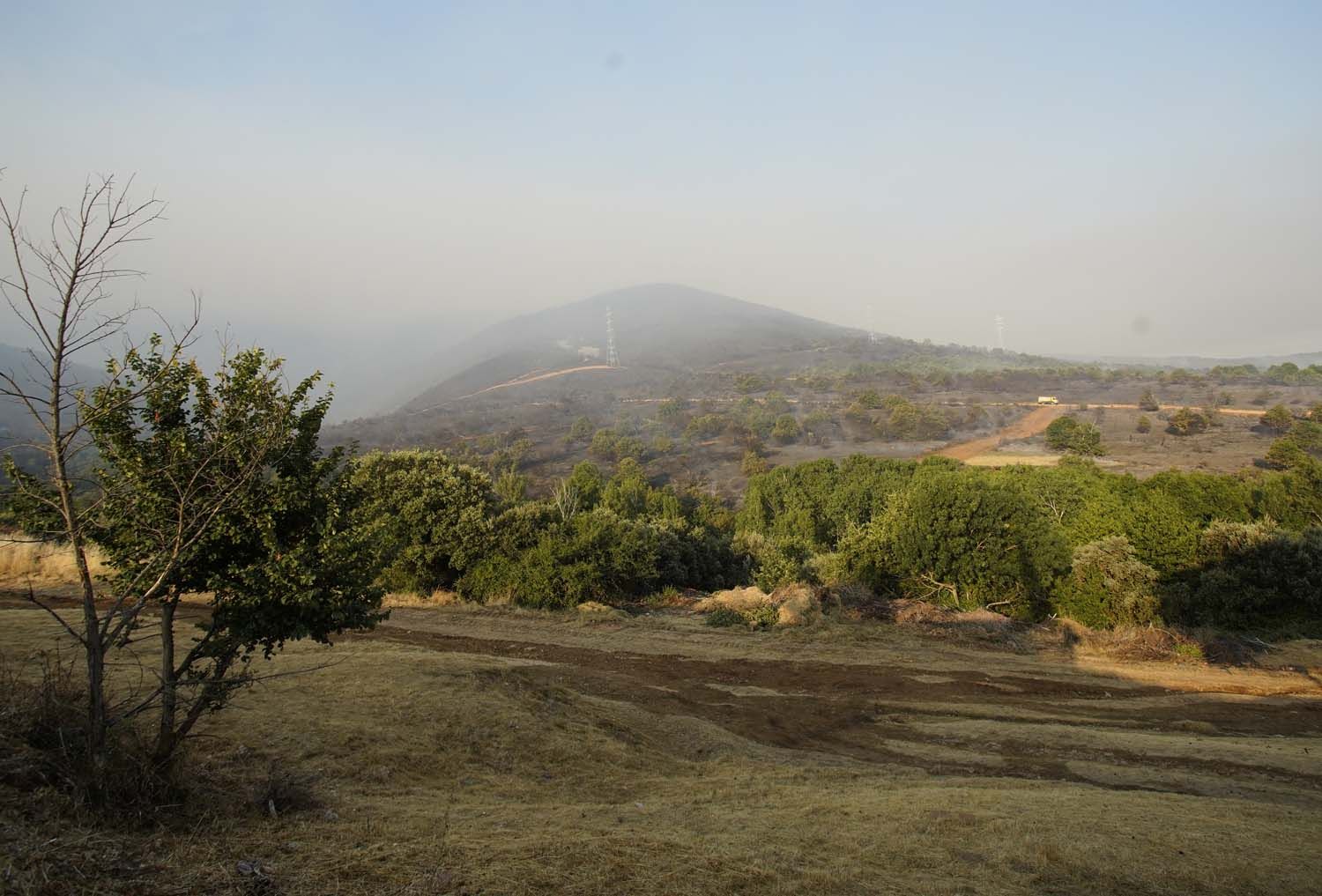 Incendio de Castropodame en San Pedro Castañero y Turienzo Castañero César Sánchez ICAL (15) Incendio de Castropodame en San Pedro Castañero y Turienzo Castañero César Sánchez ICAL (15)