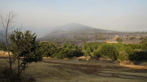 Incendio de Castropodame en San Pedro Castañero y Turienzo Castañero César Sánchez ICAL (15)