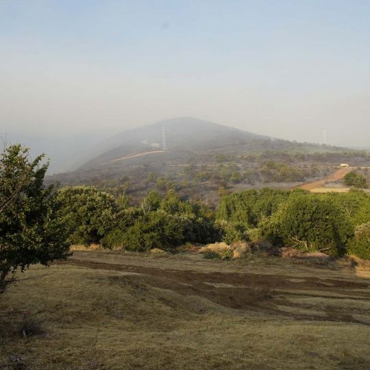 Incendio de Castropodame en San Pedro Castañero y Turienzo Castañero César Sánchez ICAL (15)