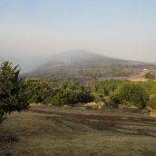Incendio de Castropodame en San Pedro Castañero y Turienzo Castañero César Sánchez ICAL (15)