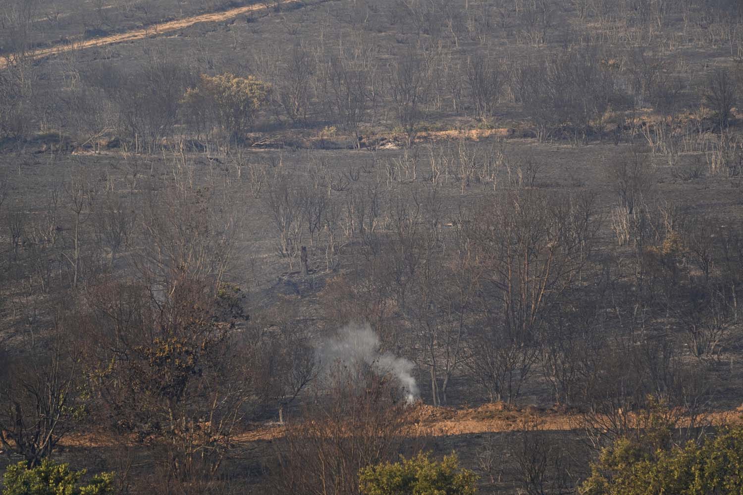 Incendio de Castropodame en San Pedro Castañero y Turienzo Castañero | César Sánchez ICAL Incendio de Castropodame en San Pedro Castañero y Turienzo Castañero | César Sánchez ICAL