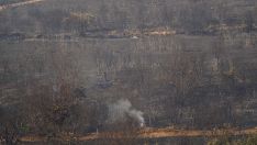 Incendio de Castropodame en San Pedro Castañero y Turienzo Castañero | César Sánchez ICAL 
