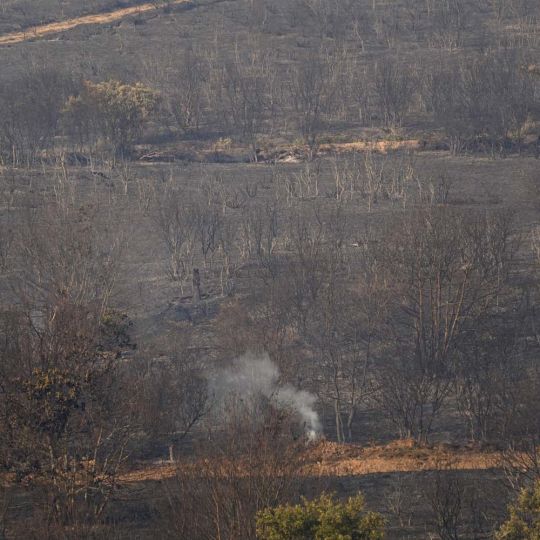 Incendio de Castropodame en San Pedro Castañero y Turienzo Castañero | César Sánchez ICAL Incendio de Castropodame en San Pedro Castañero y Turienzo Castañero | César Sánchez ICAL