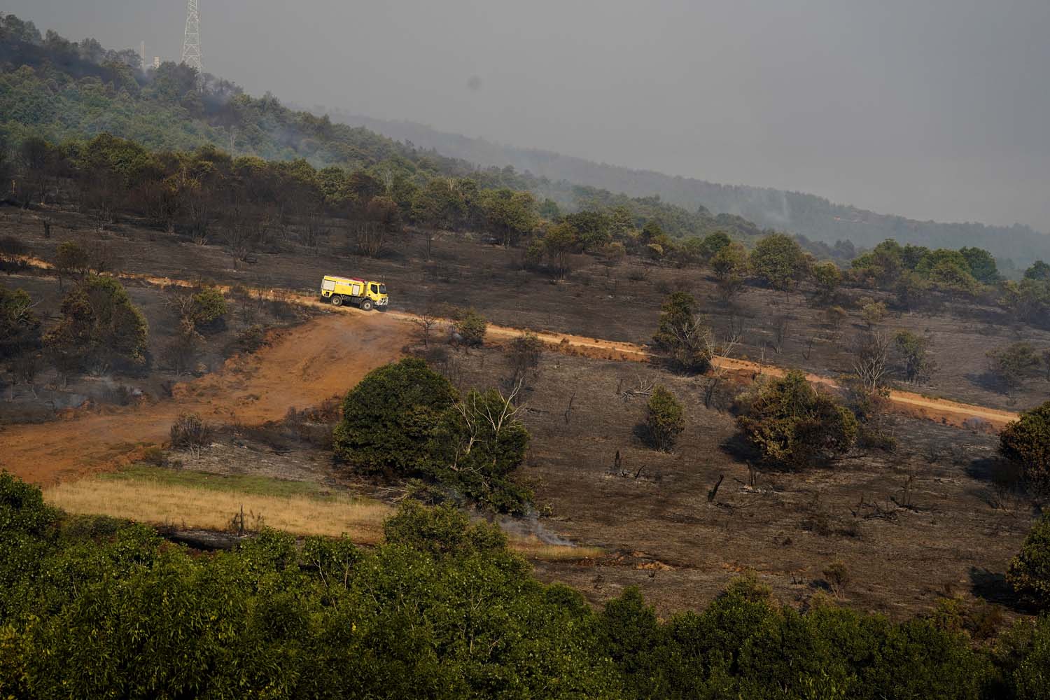 Incendio de Castropodame en San Pedro Castañero y Turienzo Castañero César Sánchez ICAL (18) Incendio de Castropodame en San Pedro Castañero y Turienzo Castañero César Sánchez ICAL (18)