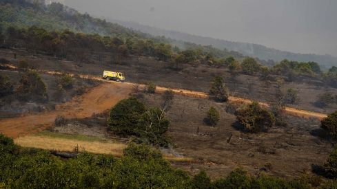 Incendio de Castropodame en San Pedro Castañero y Turienzo Castañero César Sánchez ICAL (18)