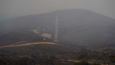 Incendio de Castropodame en San Pedro Castañero y Turienzo Castañero | César Sánchez ICAL 