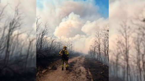 Brif Laza trabajando en el incendio de Castropodame 