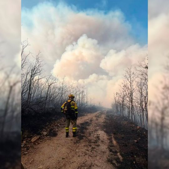 Brif Laza trabajando en el incendio de Castropodame 