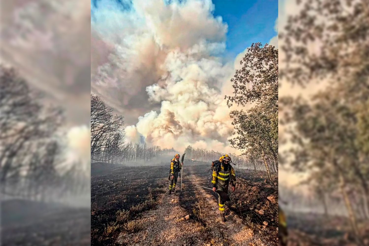 Brif Laza trabajando en el incendio de Castropodame Brif Laza trabajando en el incendio de Castropodame
