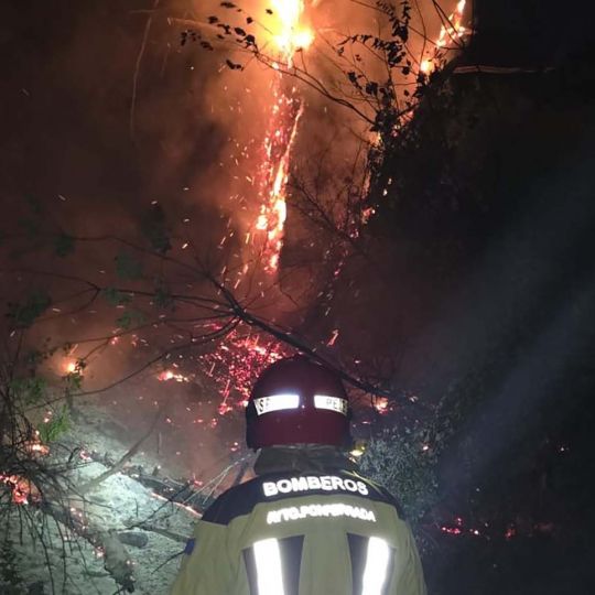 Bomberos de Ponferrada en el incendio de Ávila Bomberos de Ponferrada en el incendio de Ávila