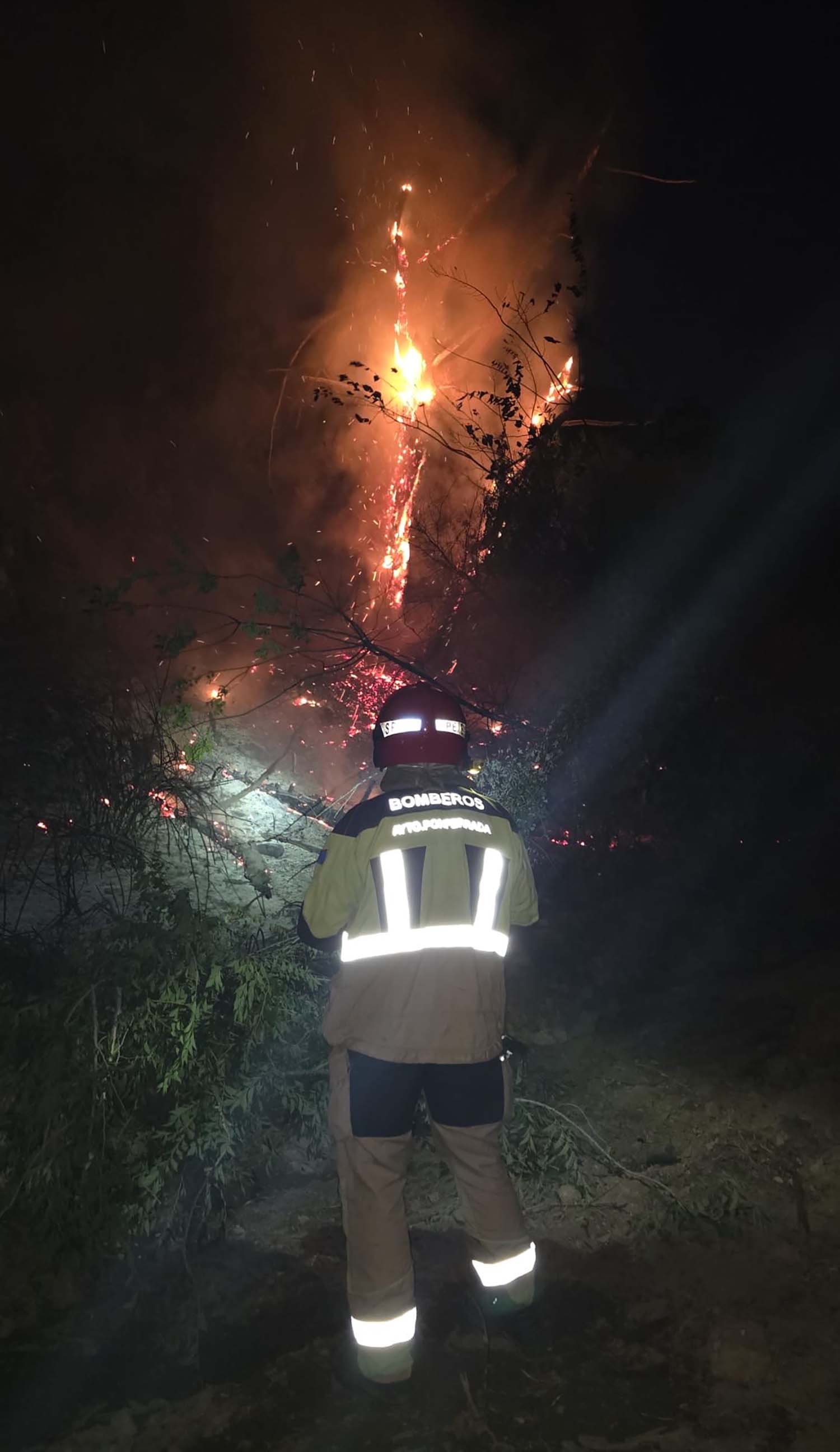 Bomberos de Ponferrada acuden al incendio de Ávila Bomberos de Ponferrada acuden al incendio de Ávila