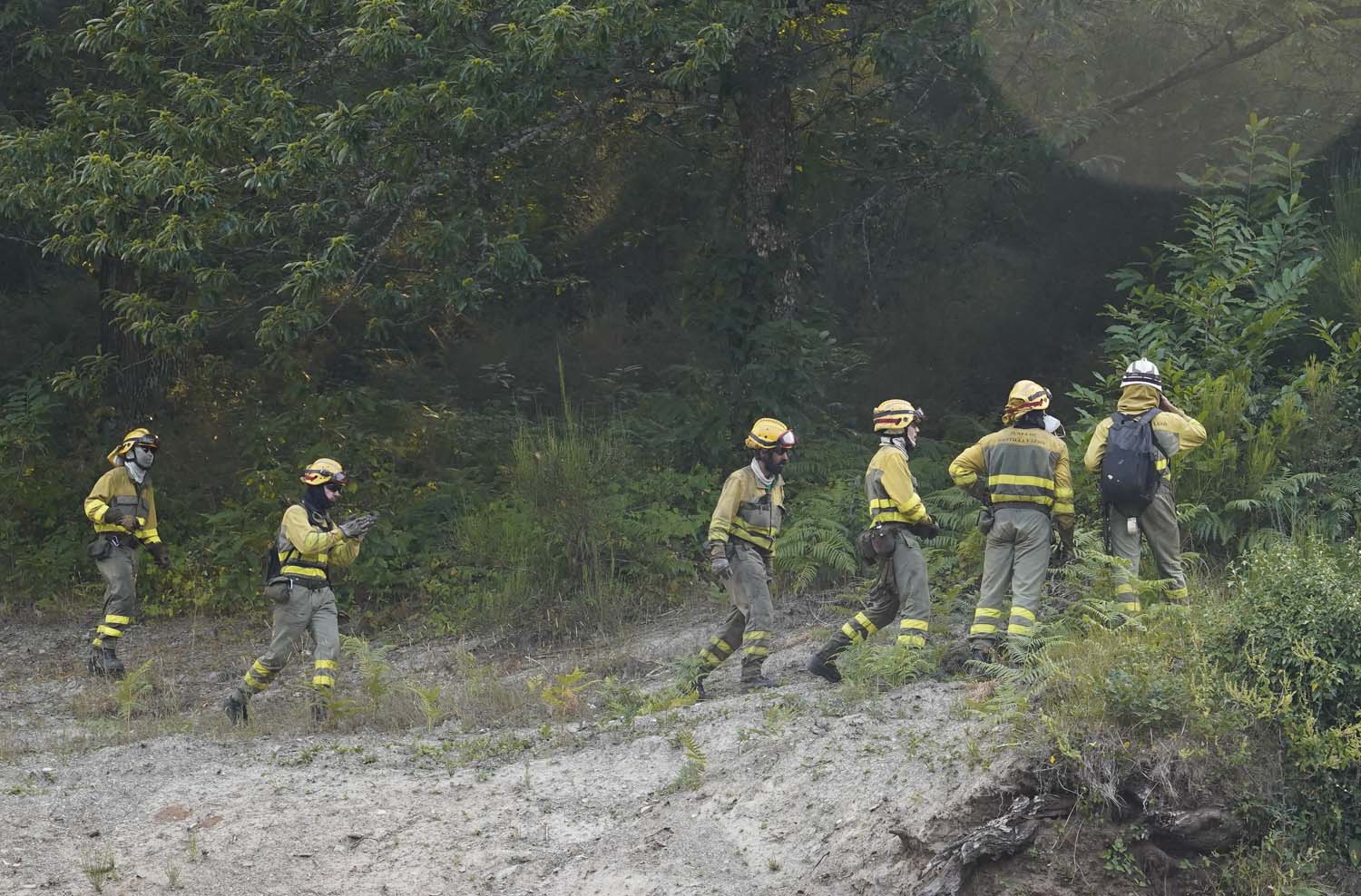 Incendio en la localidad berciana de Quintela César Sánchez ICAL(15)